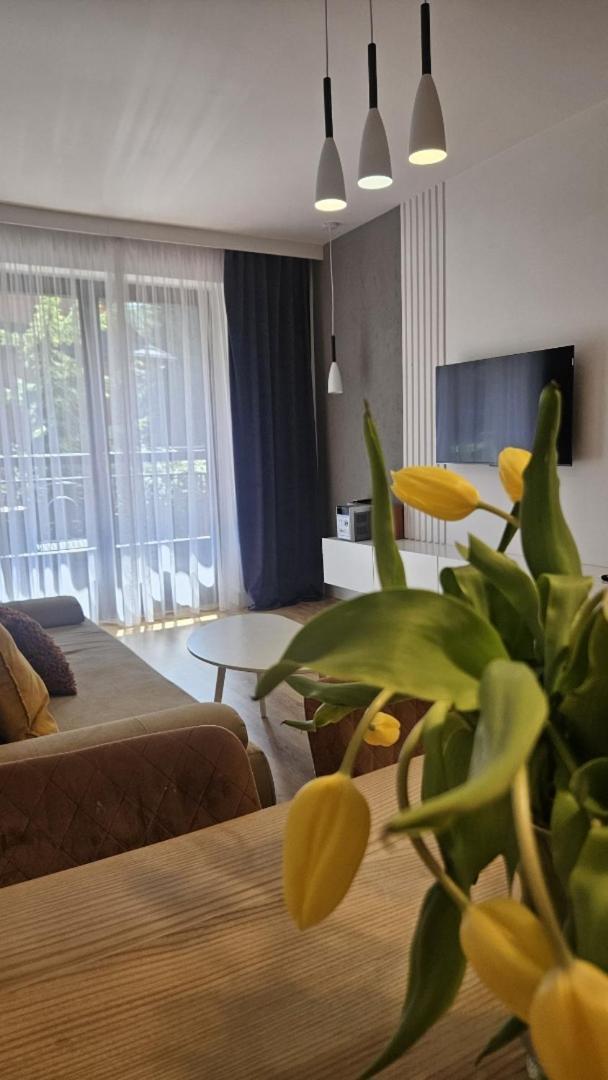 Apart4You Apartamenty Bulwary25 Zakopane Room photo
